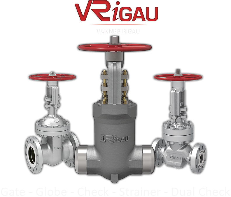 Rigau acceuil vanne à passage direct robinet à soupape et à clapet